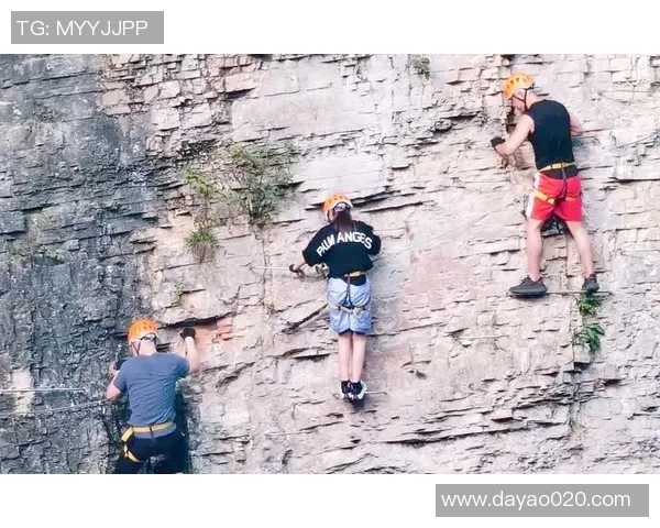 上海攀岩队速度对比深度解析与训练策略探讨 上海攀岩队速度对比深度解析与训练策略探讨