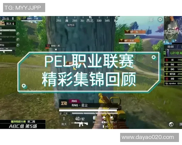 和平精英意识排名新突破RNG战队再创辉煌成就引关注 和平精英意识排名新突破RNG战队再创辉煌成就引关注